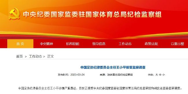国产精品麻豆91