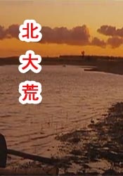 成人国产精品999视频