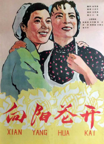 女人下面毛茸茸的视频